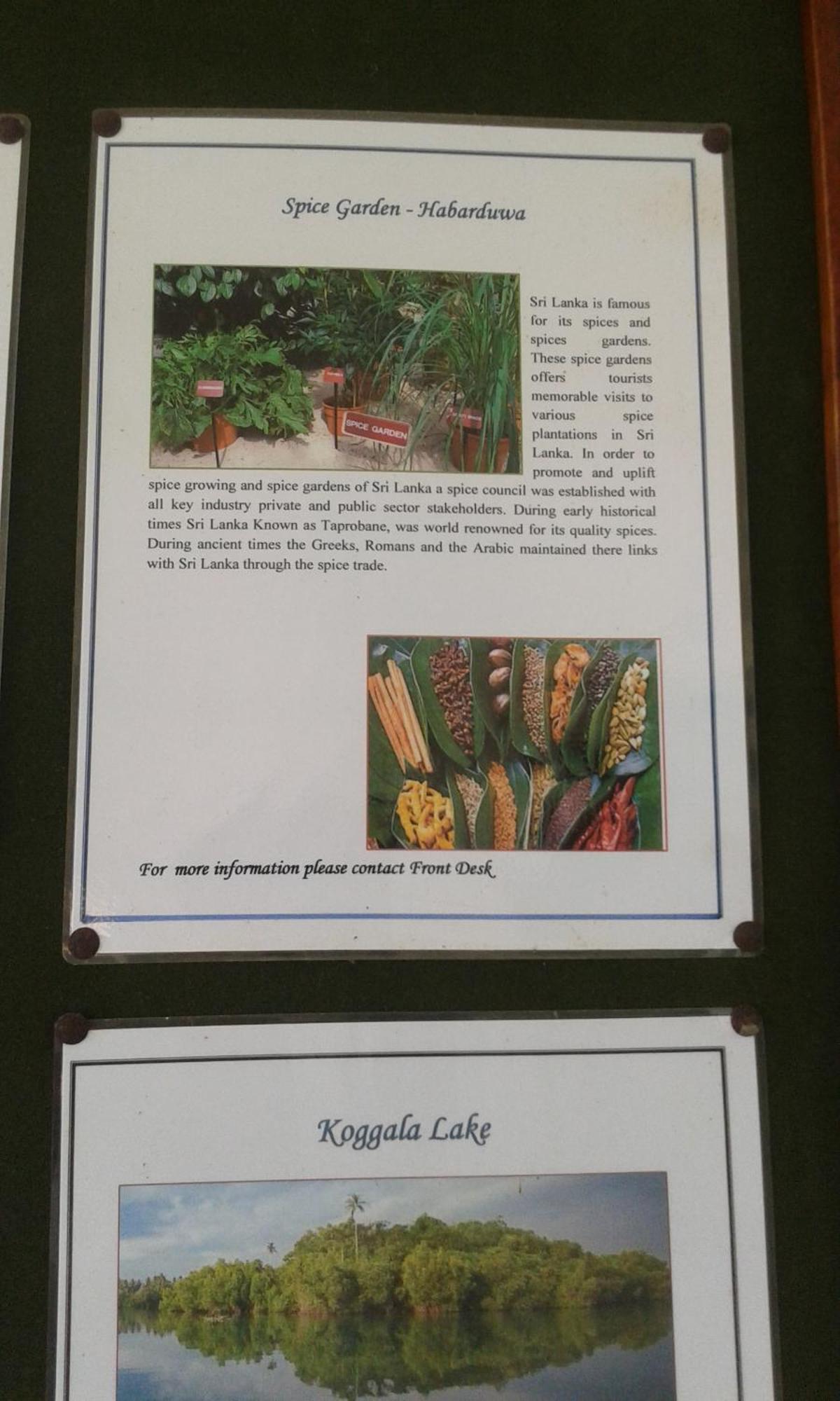 Kaween Homestay Weligama Exteriör bild